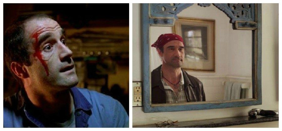 Divulga&ccedil;&atilde;o.